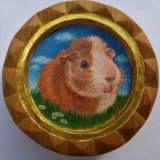 Guinea Pig -Kotoha 1-
