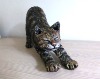 Gardener's cat