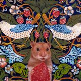 Eiko matsuura Strawberry Thief Egg Tempera on true gesso panel 2021 12.5 x 17.5 cm