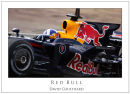David Coulthard... Red Bull