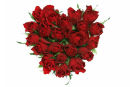 Rose Heart...