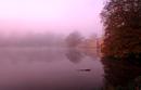 Blenheim Lake in the Mist