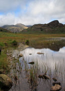 Blea Tarn II...