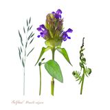 Selfheal