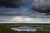 Blakeney Point (3)