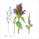 SelfHeal