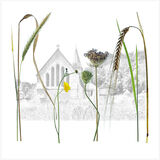 Flora Sussex Churchyards3