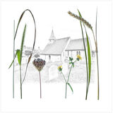 Flora Sussex Churchyards4
