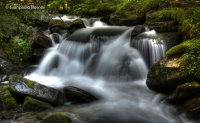 Cascata Torrente San Pellegrino (Trentino)