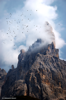 Cimon De La Pala Passo Rolle (Trentino Alto Adige)