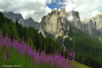 Tra Ciampedie e Gardeccia (Trentino)