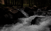 Torrente San Pellegrino (Trentino Alto Adige)