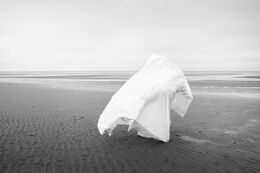 Conceptual (2012-on going)