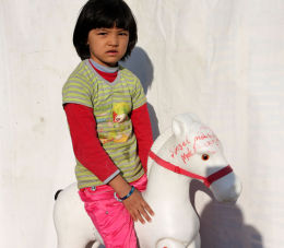 Playing in the warming sun