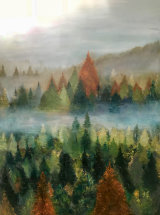 - Above the Trees -