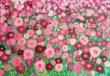 - Pink Cosmos -