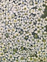 - White Clematis -