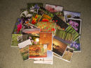 Sample 1 of our greeting card selection.