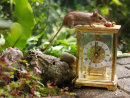 Cute Long Tailed Fieldmouse on Clock
