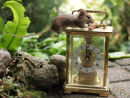 Mouse With Hazelnut on Clock -2