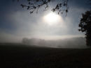 Sun through a Mist