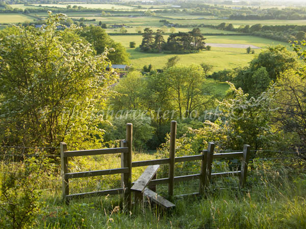 Aldbury Nowers (2nd Place winner in IGPOTY competition 6)