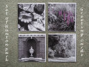 Hunton Park set of Greeting Cards