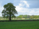 Shadow and sunlight over Spring Farmland