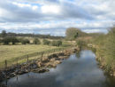 River Ver at St Albans