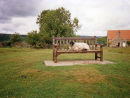 Sheep on a Bench Seat