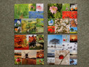 Pack of Four Seasons single sided square cards.