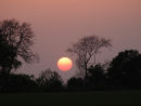Sunset Ball