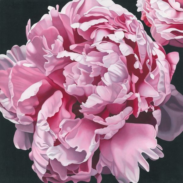 Peony 1