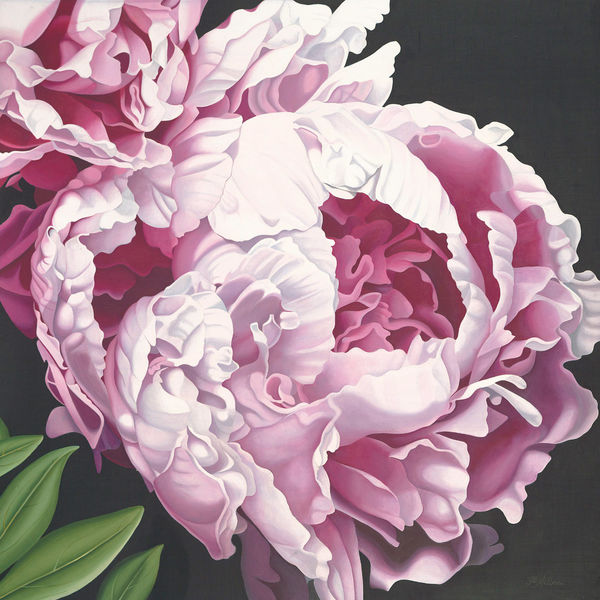 Peony 2