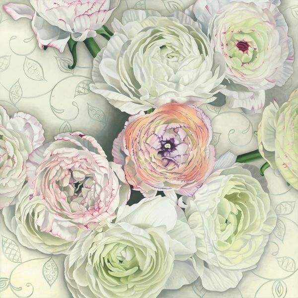 Ranunculus