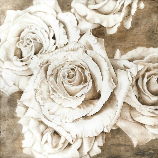Sepia roses