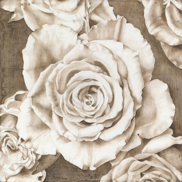 Sepia roses 2