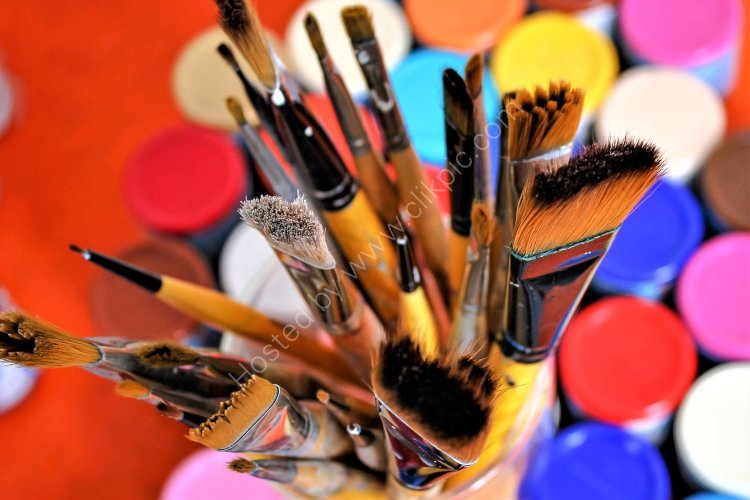 Paint Brushes and Paints