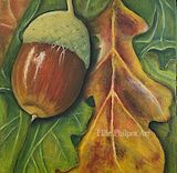 Acorn In Repose