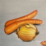 Onion and Friends (aluminium print).