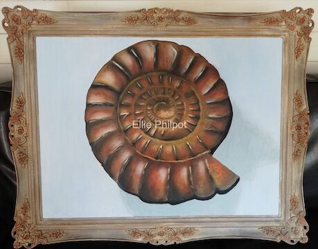 Ammonite.