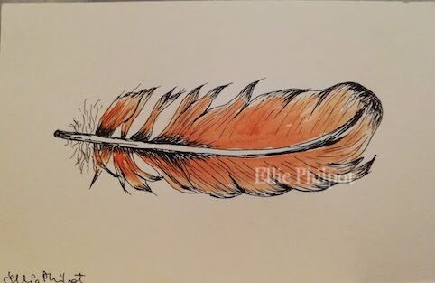 Feather 1. Postcard.
