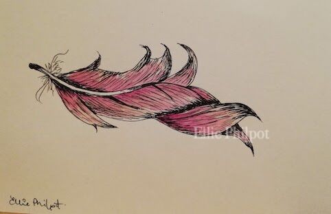 Feather 3. Postcard.