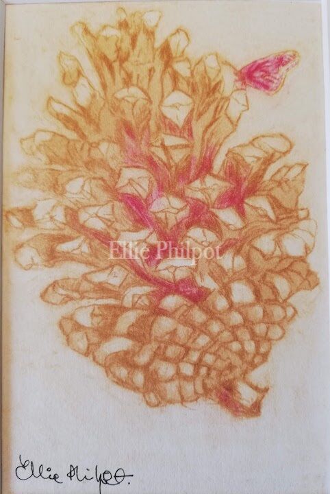 Pine cone 3