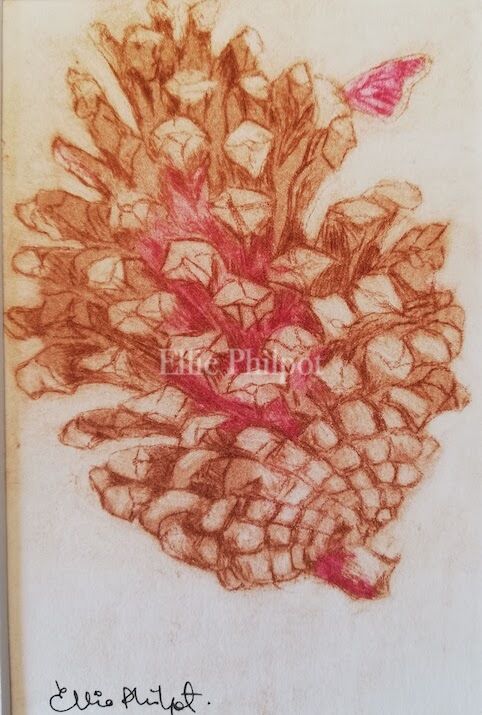 Pine cone 2.