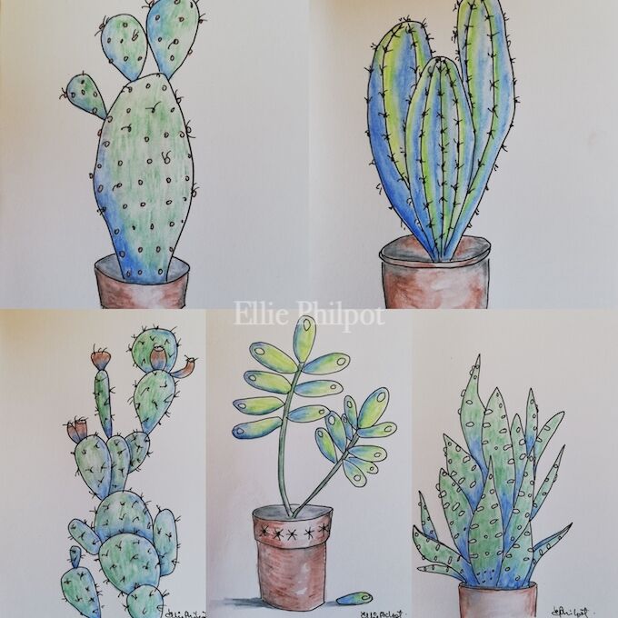 Pack of 5 cards