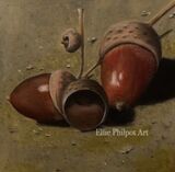 Little Acorns