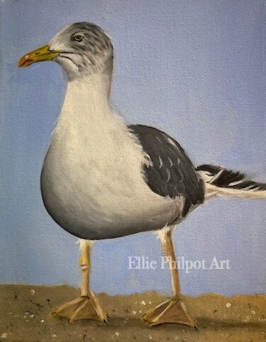 Seagull
