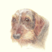 Holly by Heather Kinnear