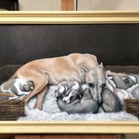 Member’s Choice Runner Up - Philip Matthews-Brown